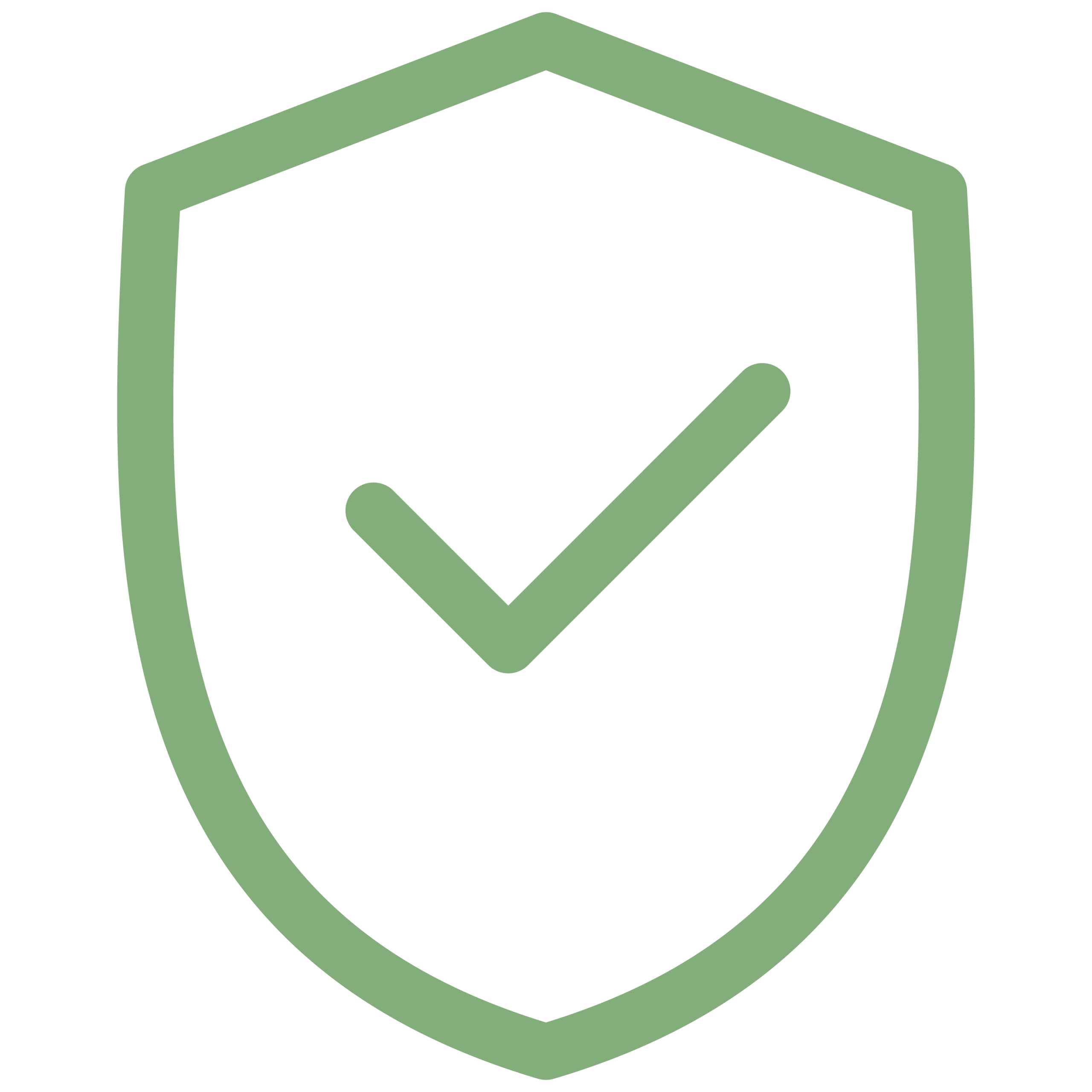 Safety shield