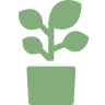 Employee growth